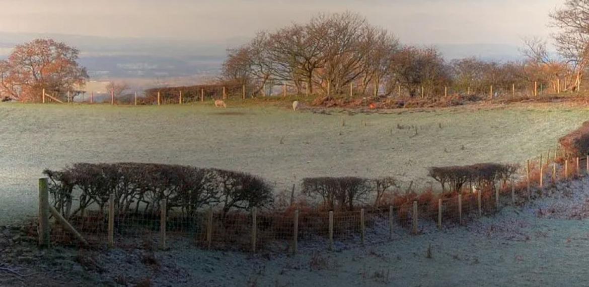 bu kısma bilgi girişi zorunlu zorunludur.